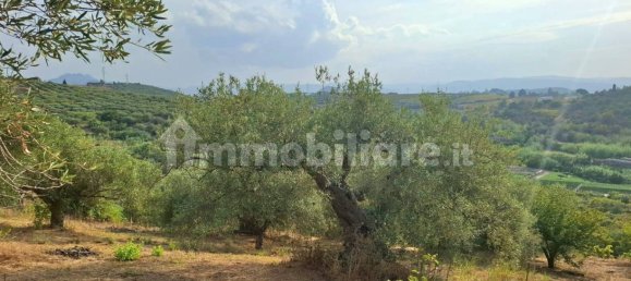 8684m² Land in Terme Vigliatore, Italy No. 377553 2