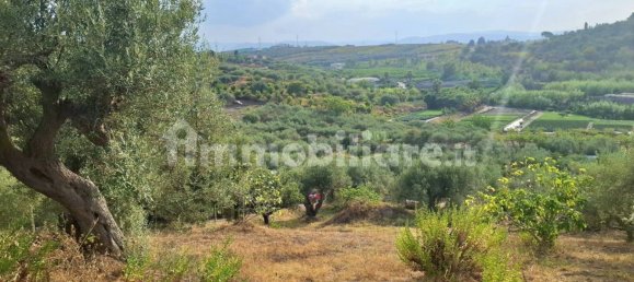 8684m² Land in Terme Vigliatore, Italy No. 377553 3
