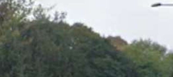 Villa de 7 dormitorios en Dolo, Italy No. 312666 19