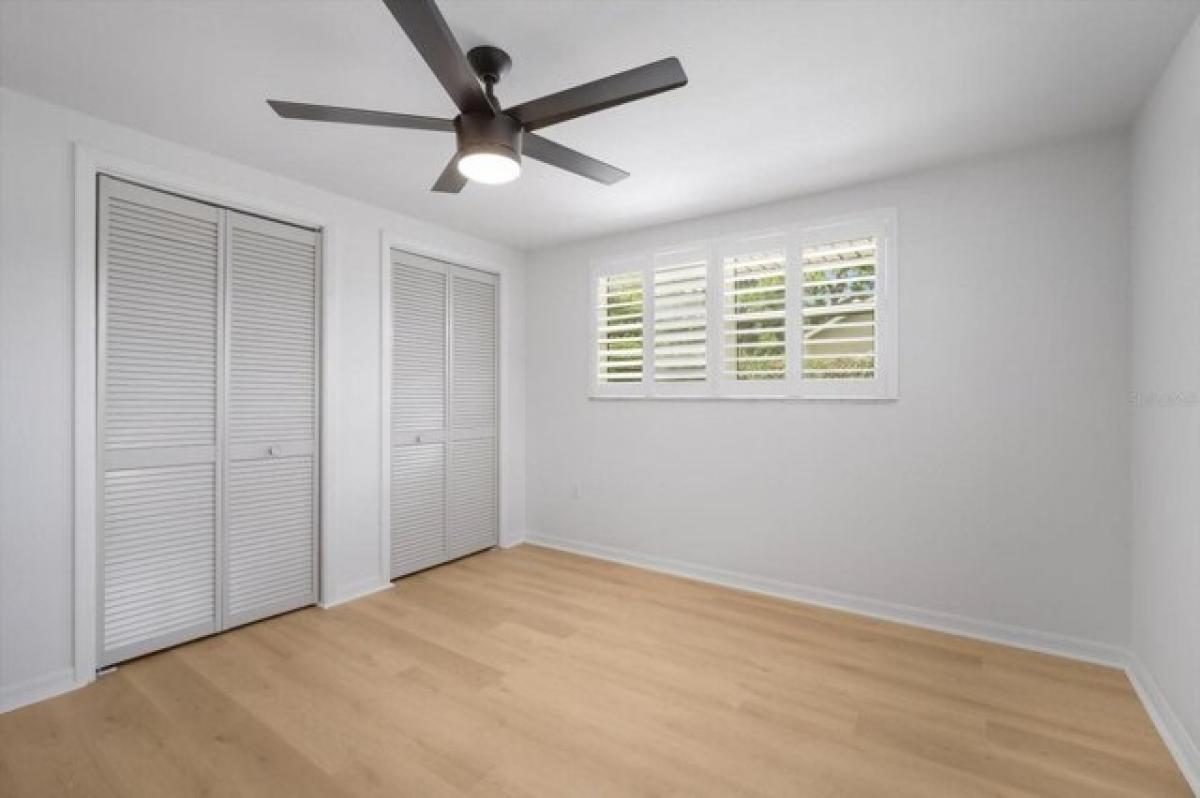 3 bedrooms House in Dunedin, USA No. 378174