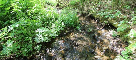 3 Schlafzimmer Haus in Niederösterreich, Austria, Nr. 184202 38