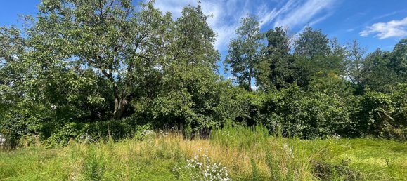 4 bedrooms House in Mulhouse, France No. 266097 4