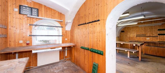 Дом с 27 комнатами в Мурек, Австрия № 141263 44