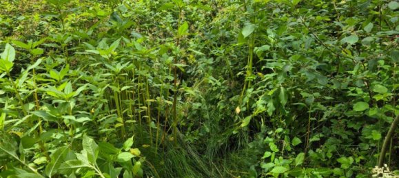 Grundstück in Passau, Germany, Nr. 225323 2