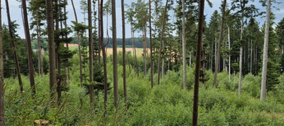 Grundstück in Passau, Germany, Nr. 225323 3