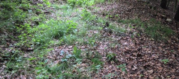 Grundstück in Passau, Germany, Nr. 225323 5