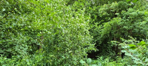 Grundstück in Passau, Germany, Nr. 225323 4