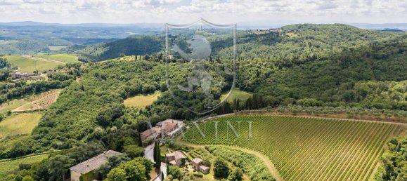 30 Schlafzimmer Haus in Radda in Chianti, Italy, Nr. 232489 8