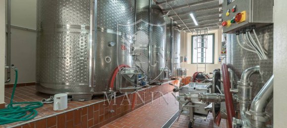 30 Schlafzimmer Haus in Radda in Chianti, Italy, Nr. 232489 26