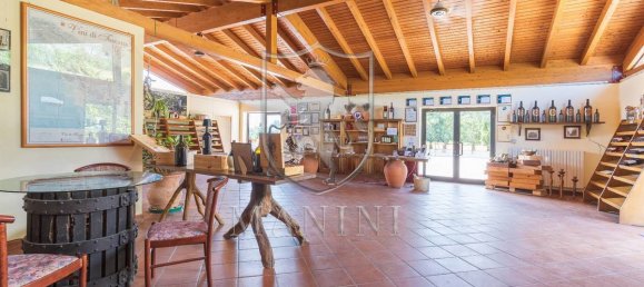 30 Schlafzimmer Haus in Radda in Chianti, Italy, Nr. 232489 28