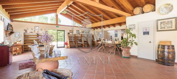 30 Schlafzimmer Haus in Radda in Chianti, Italy, Nr. 232489 27