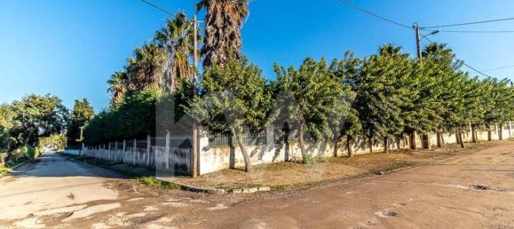 4 غرف نوم منزل في Moita, Portugal رقم 60818 45