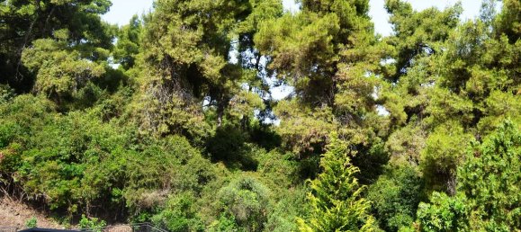 3 غرف نوم Property في Chalkidiki, Greece رقم 6676 17