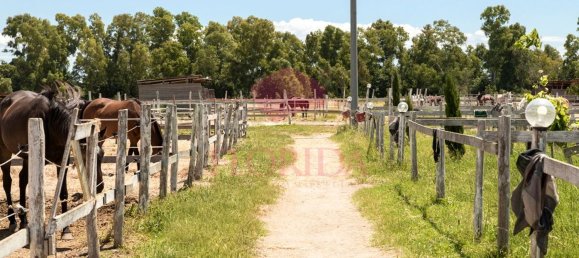 4 bedrooms Villa in Sabaudia, Italy No. 331852 46