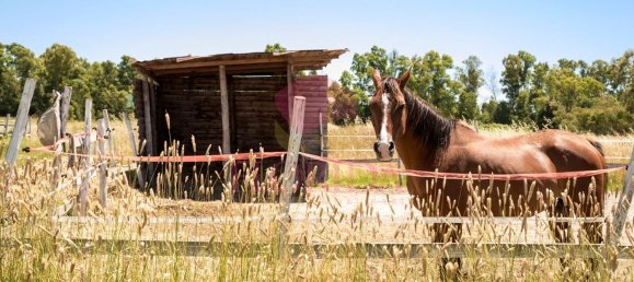 4 bedrooms Villa in Sabaudia, Italy No. 331852 48