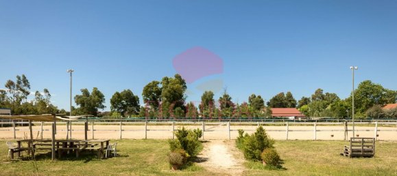 4 bedrooms Villa in Sabaudia, Italy No. 331852 35