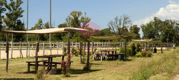 4 bedrooms Villa in Sabaudia, Italy No. 331852 40