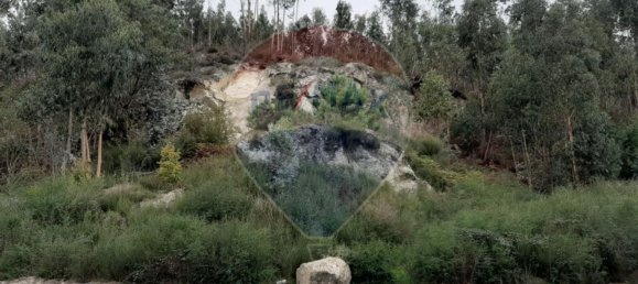 Terreno en Paredes, Portugal 7100 m² No. 38359 13