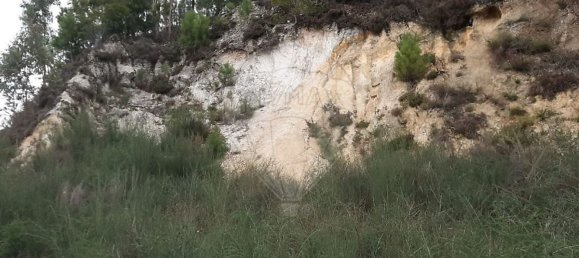 Terreno en Paredes, Portugal 7100 m² No. 38359 8