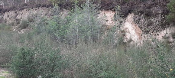 Terreno en Paredes, Portugal 7100 m² No. 38359 2