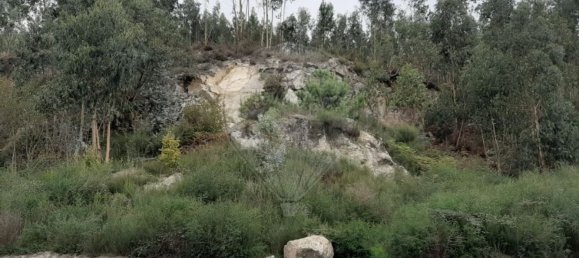 Terreno en Paredes, Portugal 7100 m² No. 38359 9