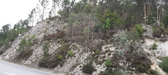 Terreno en Paredes, Portugal 7100 m² No. 38359 4