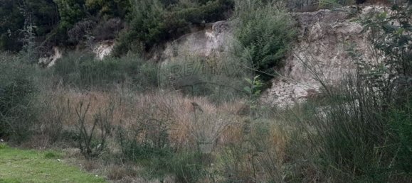 Terreno en Paredes, Portugal 7100 m² No. 38359 11