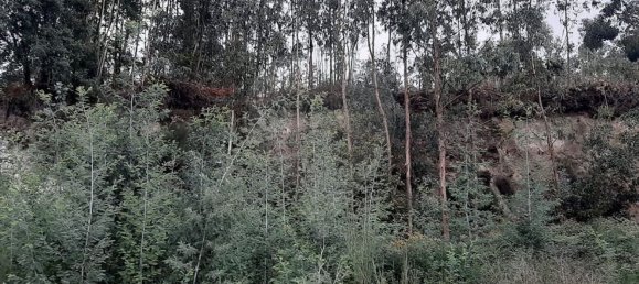 Terreno en Paredes, Portugal 7100 m² No. 38359 14