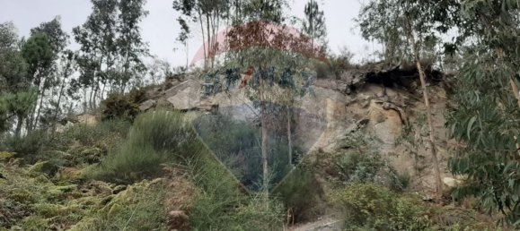 Terreno en Paredes, Portugal 7100 m² No. 38359 6