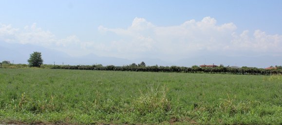  فندق في Katerini, Greece 7642متر مربع رقم 3495 2