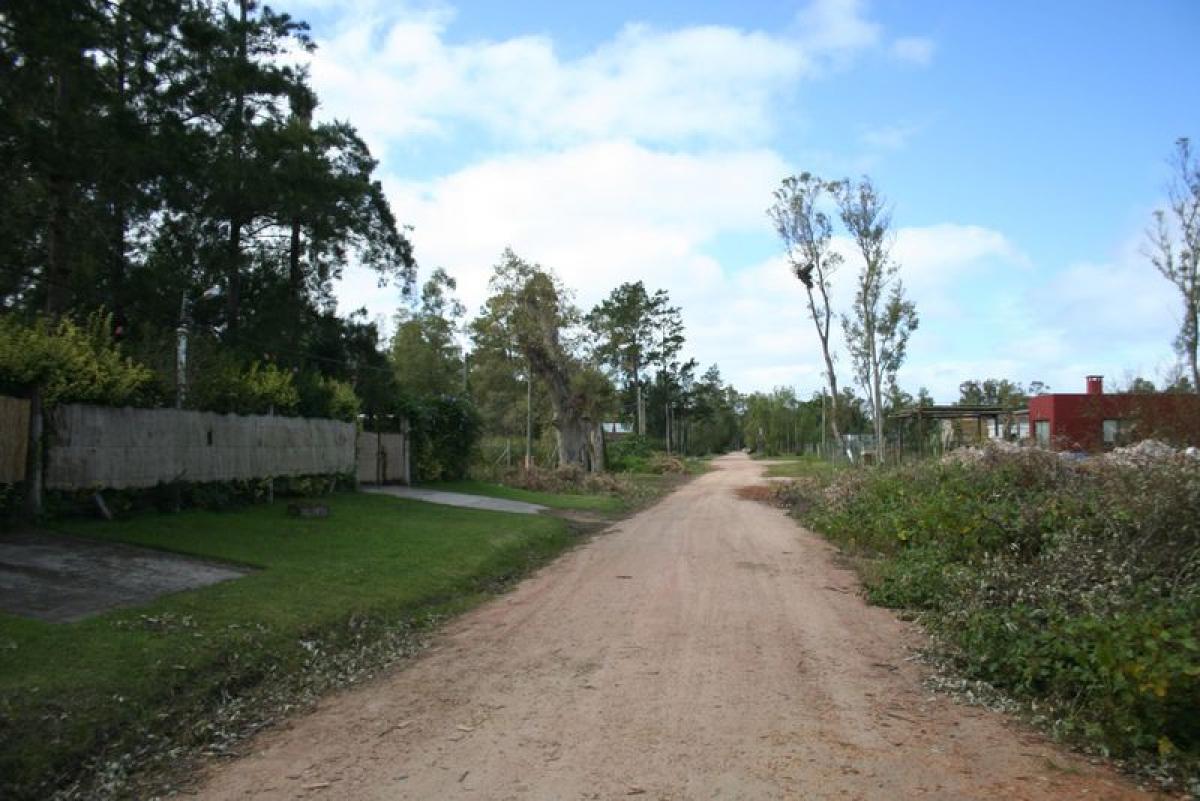  قطعة أرض في Maldonado, Uruguay رقم 14008