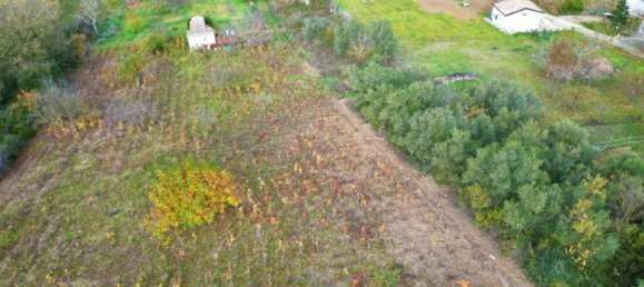 Terreno em Altofonte, Italy 3000 m² N.º 14900 6