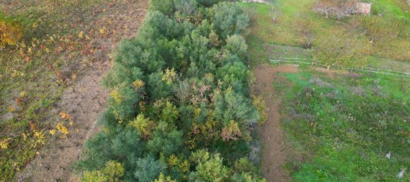 Terreno em Altofonte, Italy 3000 m² N.º 14900 5