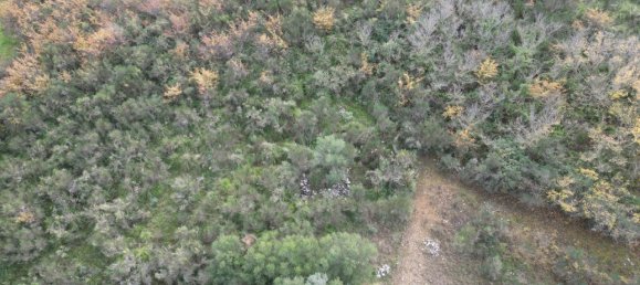 Terreno em Altofonte, Italy 3000 m² N.º 14900 20