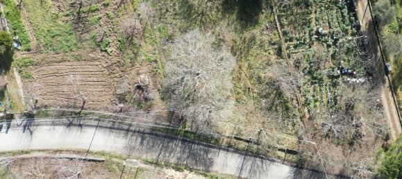 Terreno em Altofonte, Italy 3000 m² N.º 14900 44