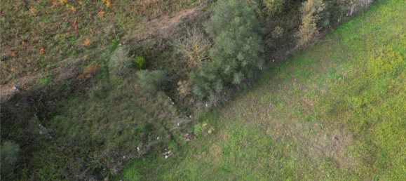 Terreno em Altofonte, Italy 3000 m² N.º 14900 8