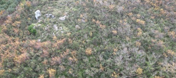 Terreno em Altofonte, Italy 3000 m² N.º 14900 21