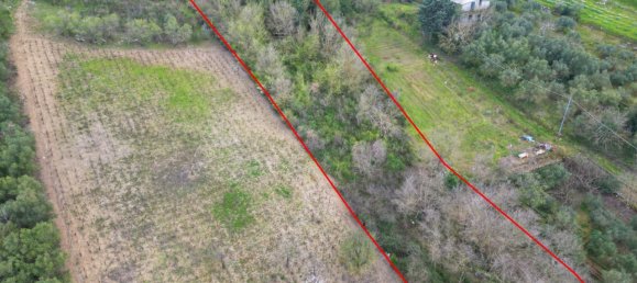 Terreno em Altofonte, Italy 3000 m² N.º 14900 31