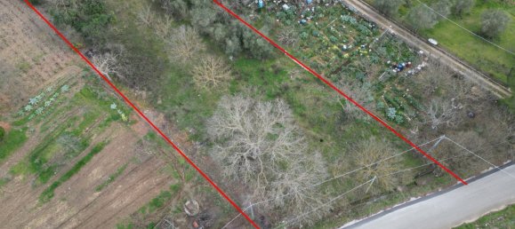 Terreno em Altofonte, Italy 3000 m² N.º 14900 26