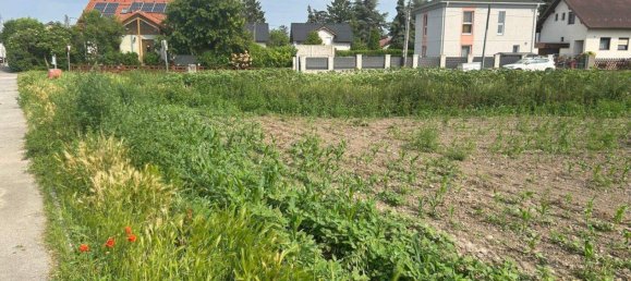 5 rooms House in Gerasdorf bei Wien, Austria No. 158178 9