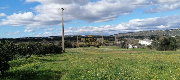 قطعة أرض في Loule, Portugal 4280متر مربع رقم 243129 9