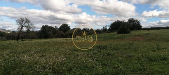 قطعة أرض في Loule, Portugal 4280متر مربع رقم 243129 6