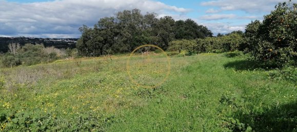 قطعة أرض في Loule, Portugal 4280متر مربع رقم 243129 13