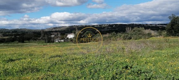 قطعة أرض في Loule, Portugal 4280متر مربع رقم 243129 17