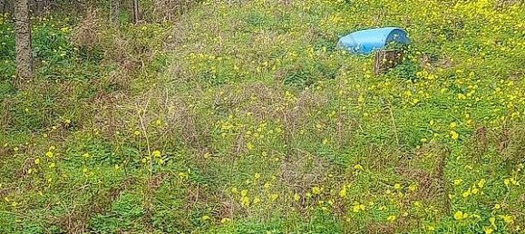 2 bedrooms House in Rio Tinto, Portugal No. 45347 4