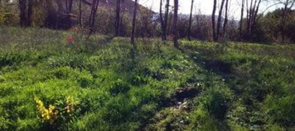 2 Schlafzimmer Haus in Villeneuve-sur-Lot, France, Nr. 314690 3