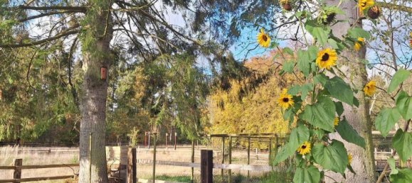 Таунхаус с 5 комнатами в Вандсбек, Германия № 33937 12