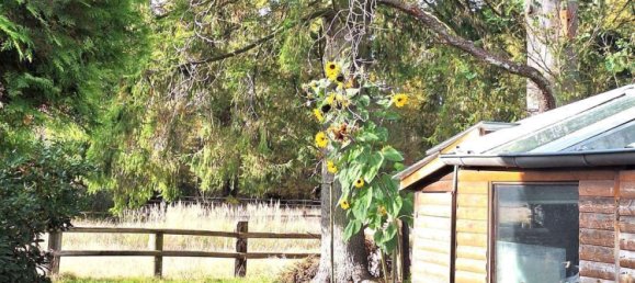 Таунхаус с 5 комнатами в Вандсбек, Германия № 33937 11