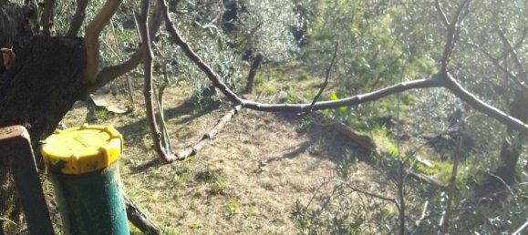 6-Zimmer Haus in Sori, Italy, Nr. 87089 9