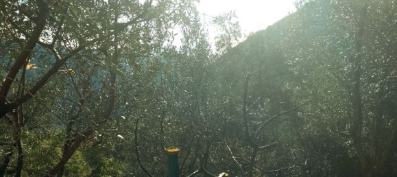 6-Zimmer Haus in Sori, Italy, Nr. 87089 19